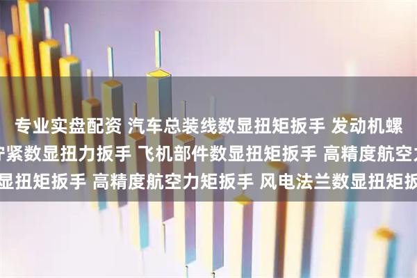 专业实盘配资 汽车总装线数显扭矩扳手 发动机螺栓数显力矩扳手 轮胎拧紧数显扭力扳手 飞机部件数显扭矩扳手 高精度航空力矩扳手 风电法兰数显扭矩扳手